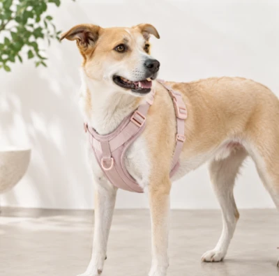 Soft padded dog harness with adjustable nylon webbing and metal D-ring Soft padded dog harness with adjustable nylon webbing and metal D-ring
