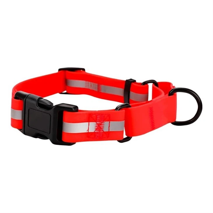 PVC Webbing Dog Collar